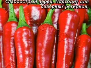 Сорт перца Чудо Подмосковья