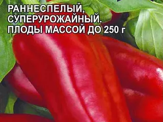 Сорт перца Буратино