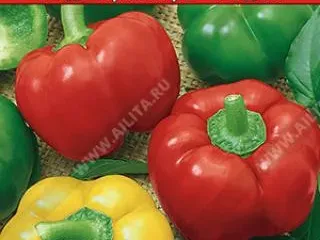 Сорт перца Гогошар (Гогошары)