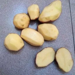 Сорт картофеля Альвара 1