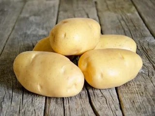 Сорт картофеля Кроне (Крона)