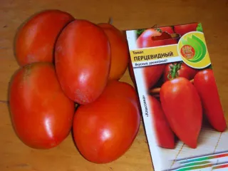 Сорт томата Перцевидный