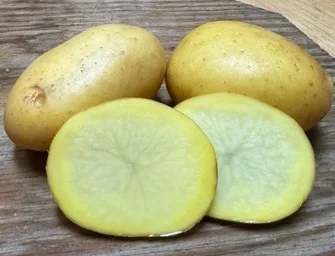 Сорт картофеля Аризона 0