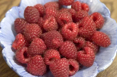 Сорт малины Херитейдж 3
