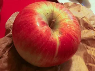 Сорт яблони Уэлси