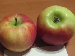 Сорт яблони Ауксис
