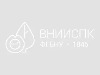 Сорт айвы Кубанская (Айва)