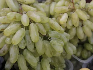 Сорт винограда Дамские пальчики (Хусайне белый)