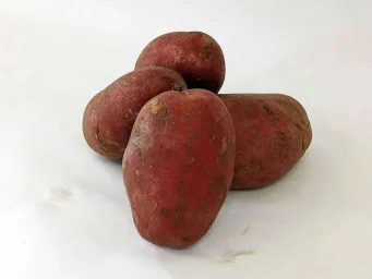 Сорт картофеля Балтик роуз 2