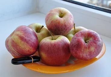 Сорт яблони Гала 0