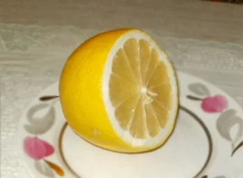 Сорт лимона Курский 1