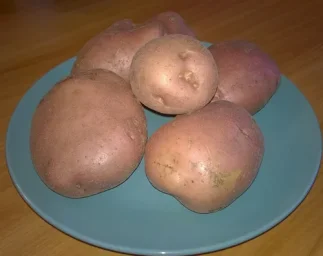 Сорт картофеля Романо 2