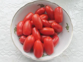 Сорт томата Дамские пальчики 0