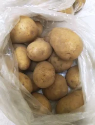 Сорт картофеля Наяда 1