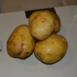 Сорт картофеля Латона 0