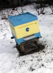 ППУ-семья в феврале