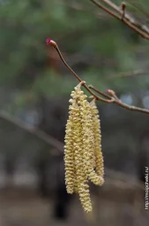 Зима не сдается Зима не сдается