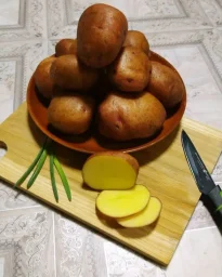 Сорт картофеля Першацвет 2