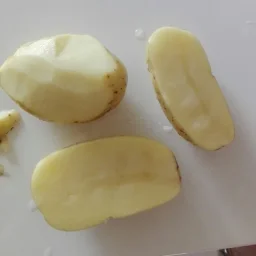 Сорт картофеля Вега 1