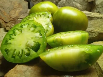 Сорт томата Зеленая тайна личинки 2