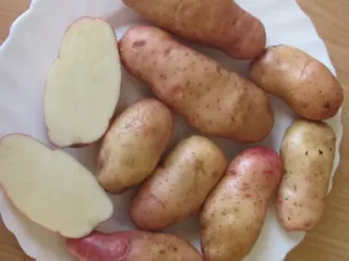 Сорт картофеля Американка (Ранняя роза)